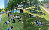 Netizen nể phục người thiết kế ra bãi cỏ cực đặc biệt