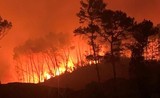 Diễn biến mới nhất vụ cháy rừng ở Nghệ An