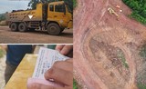 Quảng Ninh: Nghi vấn mỏ khoáng sản Trí Đức “tuồn” đất, đá trái phép?- kỳ 4