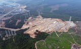 Ai đứng sau Công ty AIT phá rừng tự nhiên ở Thanh Hóa?