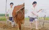 Danh tính gái xinh chăn bò gây bão mạng, tưởng ai hóa người quen