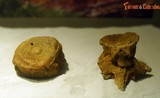 Soi bộ sưu tập hóa thạch khủng long có 1-0-2 ở Hà Nội