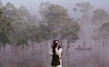 Đẹp ma mị suối Tía - Đà Lạt