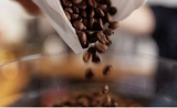 Giá cà phê vượt mốc 100.000 đồng/kg, vì sao vẫn có doanh nghiệp lỗ?