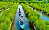 Khám phá rừng ngập mặn Bàu Cá Cái ở Quảng Ngãi 