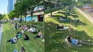 Netizen nể phục người thiết kế ra bãi cỏ cực đặc biệt