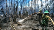 Toàn cảnh chiến đấu với "giặc lửa", khống chế cháy rừng ở Kiên Giang