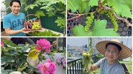 Sân thượng ngập rau trái 4 mùa của “Vua nhạc đỏ” Trọng Tấn