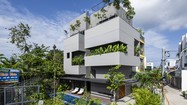Cận cảnh ngôi nhà xanh mát giữa “rừng” bê tông ở Nha Trang