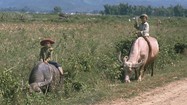 Loạt ảnh cuộc sống thanh bình ở Điện Biên Phủ năm 1992