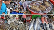 Độc đáo chợ hải sản “bao ngon” chỉ họp vào buổi chiều