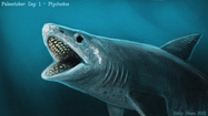 Lộ diện thủy quái mang hàm răng kim loại, có thể nghiền nát rùa biển