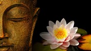 9 bài học của Phật dạy cách hóa giải những khó khăn trong cuộc đời
