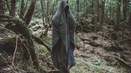 Bên trong “khu rừng tự sát” u ám đáng sợ ở Nhật Bản