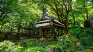 Chiêm ngưỡng ngôi đền 1500 năm tuổi nép mình giữa rừng cây tuyệt đẹp