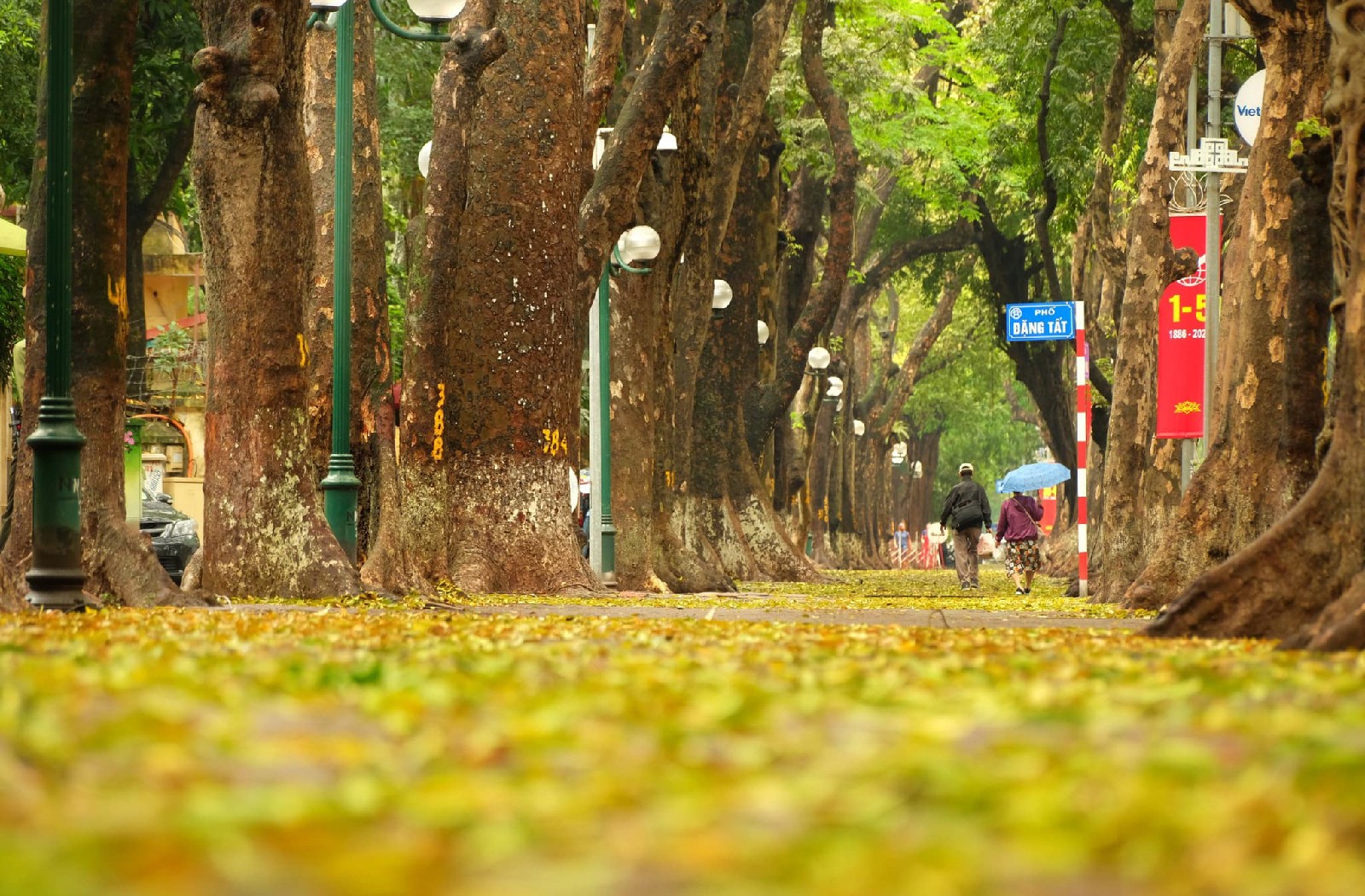 70 nam van hoa Ha Noi: Yeu tung goc pho, tieng rao dem...-Hinh-3