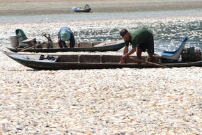 Công an vào cuộc vụ cá chết nổi trắng hồ Sông Mây, Đồng Nai