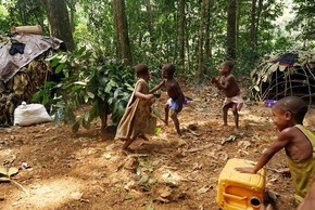Tận mục cuộc sống bộ tộc người lùn giữa rừng rậm châu Phi