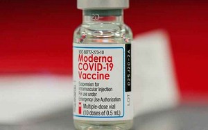 Moderna tuyên bố vaccine an toàn với trẻ 6-11 tuổi