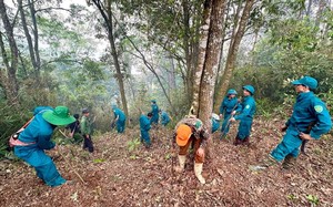 Vụ cháy rừng Tây Côn Lĩnh, Kiểm lâm kể giây phút cận kề cái chết