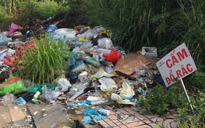 Hà Nội phạt gấp đôi hành vi vi phạm môi trường và đất đai