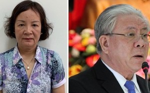 Hai cựu lãnh đạo Sở Tài chính Đà Nẵng sai phạm gì liên quan “Vũ nhôm”?