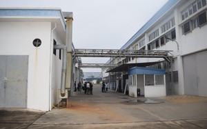 Quảng Ninh: Công bố nguyên nhân 61 công nhân VEGA BALLS ngộ độc khí