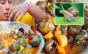 Hãi hùng món ốc sên hầm kinh dị lại có vị ngon hơn dê
