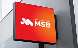 Vụ khách tố mất chục tỷ đồng tại MSB có diễn biến mới