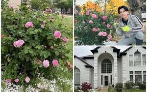 Biệt thự rực rỡ hoa hồng của ca sĩ Đan Trường hậu ly hôn 