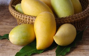 Những lợi ích tuyệt vời của quả xoài đối với sức khoẻ