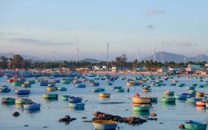 Ngỡ ngàng vẻ đẹp của làng chài mũi La Gàn nhìn từ trên cao
