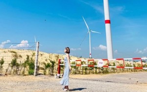 Lạc lối giữa vẻ đẹp của cánh đồng điện gió Phương Mai