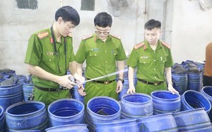 Phát hiện 3.500 tấn giá đỗ ngâm hóa chất ở Nghệ An