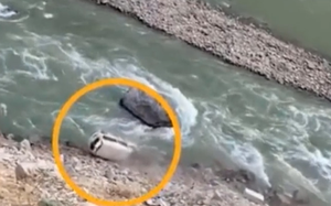 Video: Trục trặc phanh tay khi dừng đỗ, ô tô lăn xuống suối