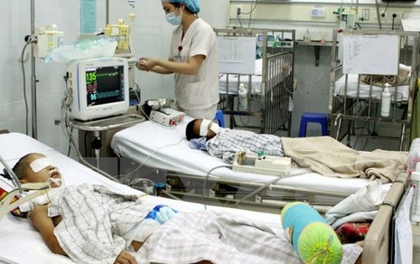 7 bé tử vong ở Cao Bằng dương tính với virus Coxsackie A6