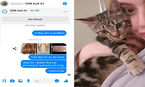 Cô gái lộ ảnh nóng qua Messenger chỉ vì một con mèo