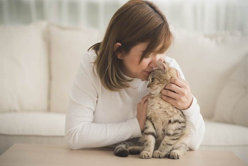 Mèo bỗng phản ứng lạ, giúp chủ nhân thoát chết gang tấc Mèo bỗng phản ứng lạ, giúp chủ nhân thoát chết gang tấc