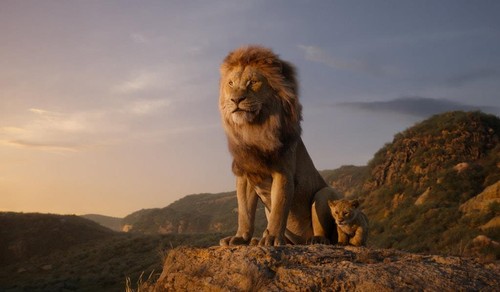 Sự thật sốc thế giới sư tử so với "The Lion King"