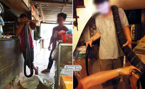 Lên vùng cao nghe chuyện rắn khổng lồ Lên vùng cao nghe chuyện rắn khổng lồ