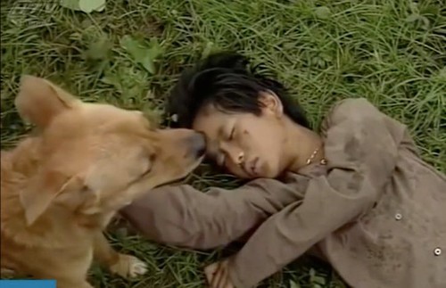 Video: Chú chó mang lựu đạn cứu Tư 'Võ Tòng' gây xúc động ở 'Đất phương Nam'