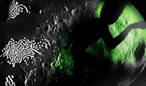 Lộ ảnh cấu trúc lạ trên Mặt trăng, nghi là của người ngoài hành tinh