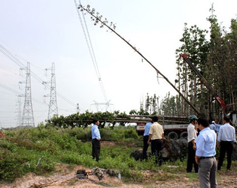 Mất điện toàn miền Nam có chỉ là lỗi của lái xe cẩu?