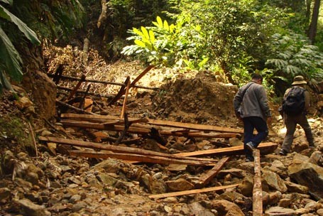 Ông Trần Ngọc Lâm nhiều lần dẫn tác giả xem cảnh phá rừng của lâm tặc trong đại ngàn Hoàng Liên Sơn 