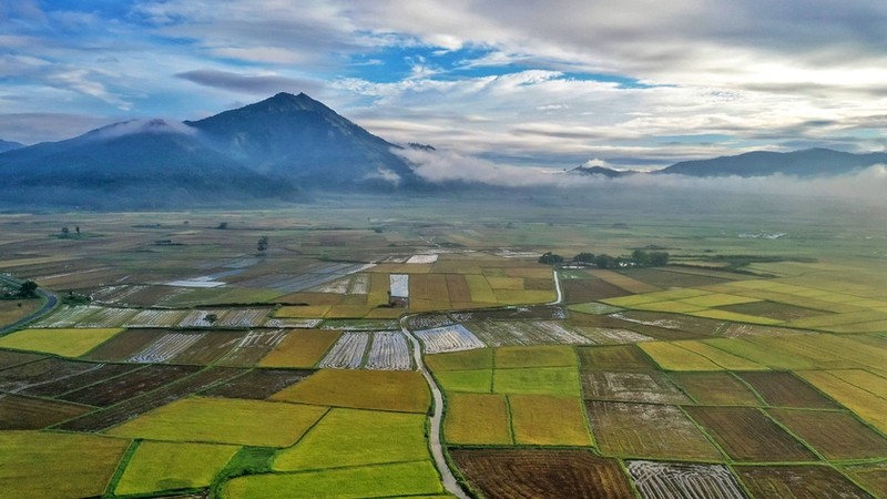 View - 	Cánh đồng Chư Jôr - 'bức họa' của người nông dân