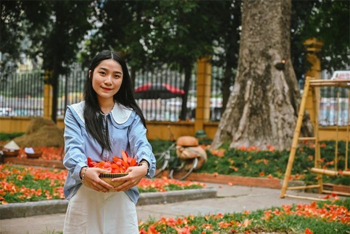 Vi sao cay hoa gao lon o Ha Noi thu hut gioi tre?