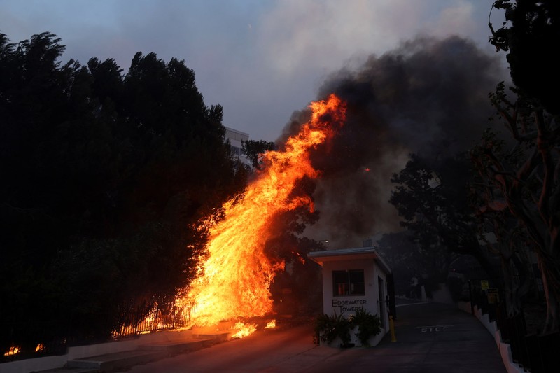 Wildfires in Los Angeles