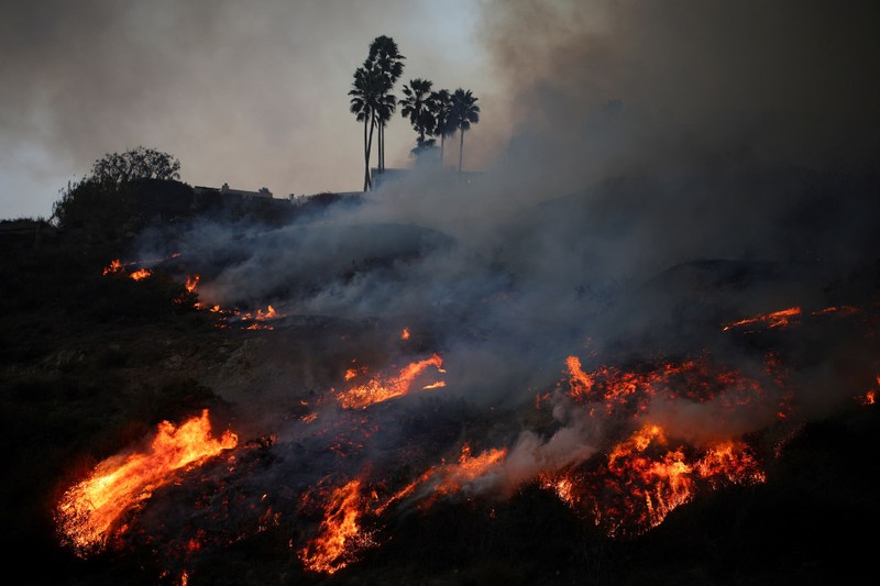 Wildfires in Los Angeles