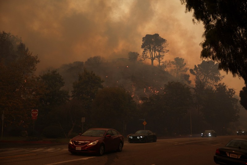 Wildfires in Los Angeles