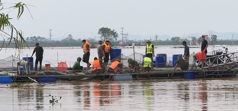 Hai Duong: Tieu thu hon tram tan ca long tu tinh nguoi trong lu-Hinh-3